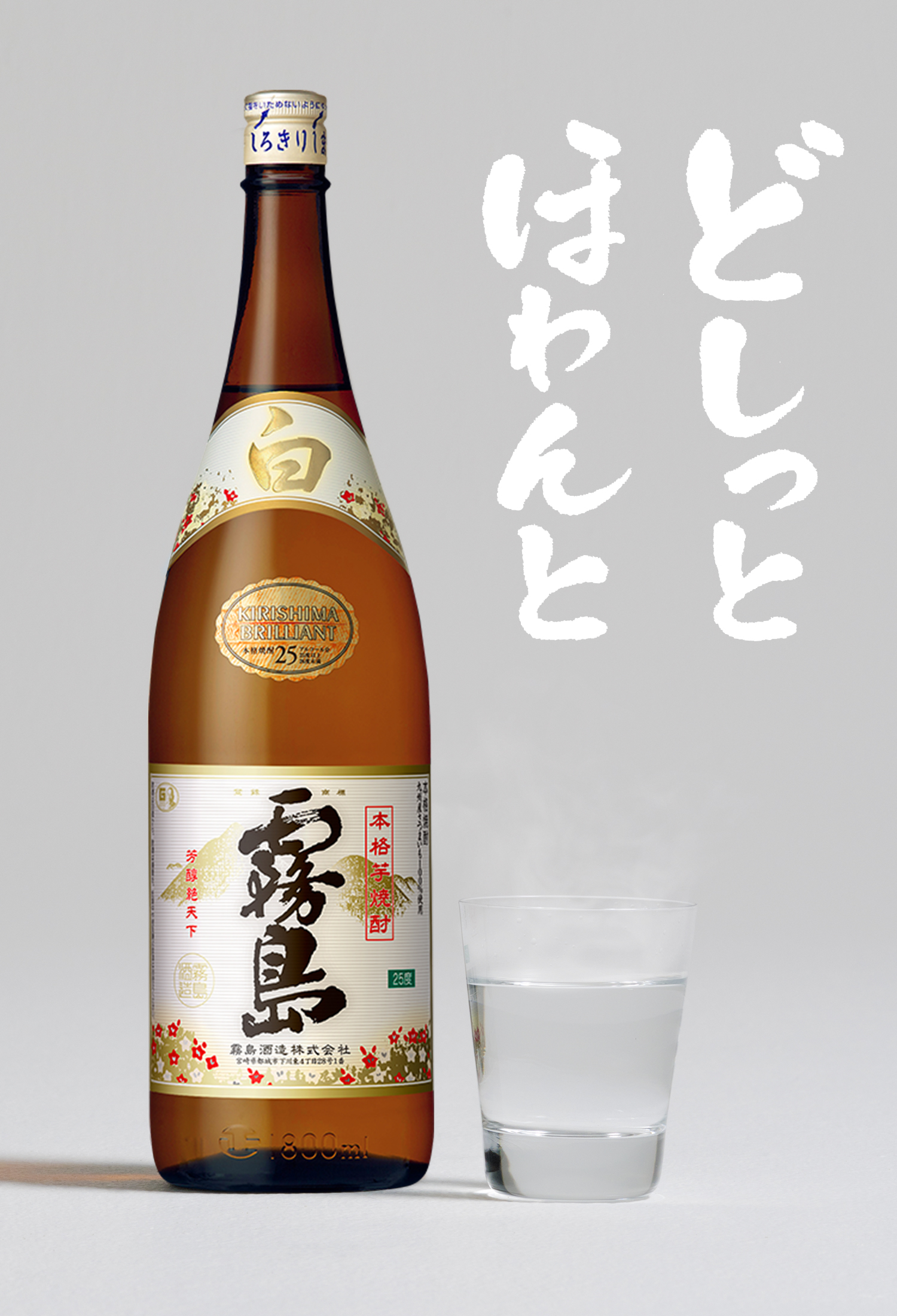 一只柔软蓬松的白雾岛